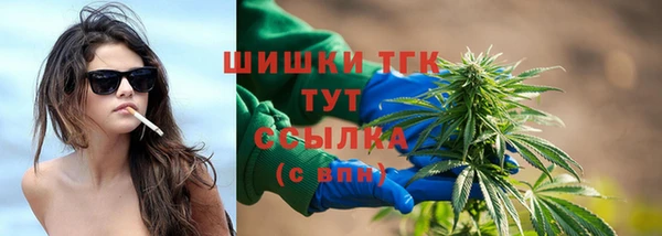 крисы Армянск