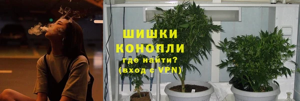 стафф Аркадак