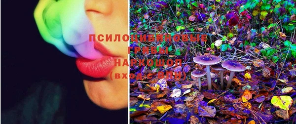 стафф Аркадак
