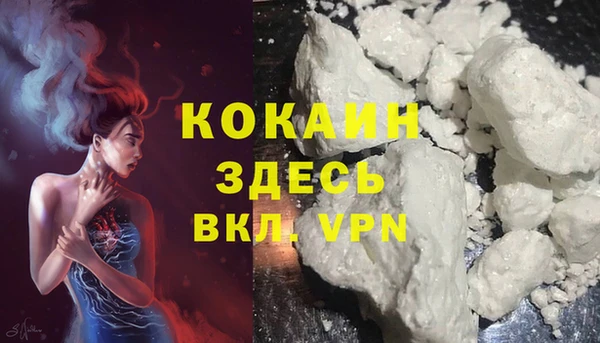 стафф Аркадак