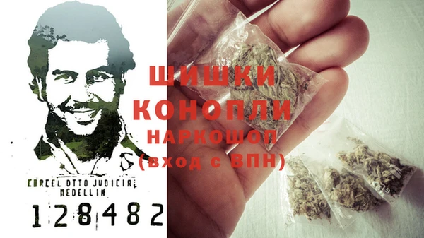 спайс Арсеньев