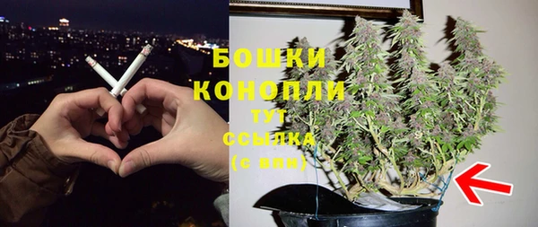 крисы Армянск