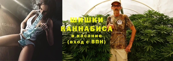 спайс Арсеньев