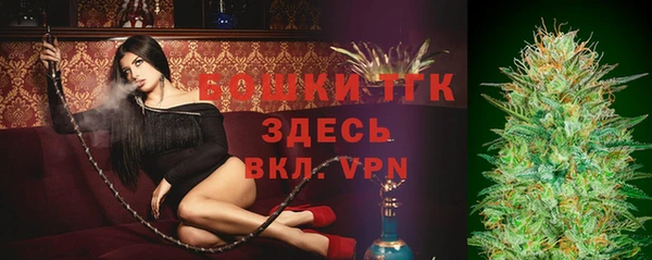 стафф Аркадак