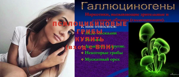 крисы Армянск