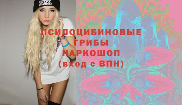 дурь Приозерск