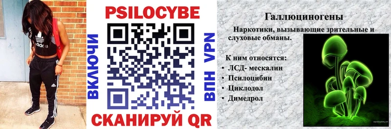 Псилоцибиновые грибы мицелий  Краснослободск 